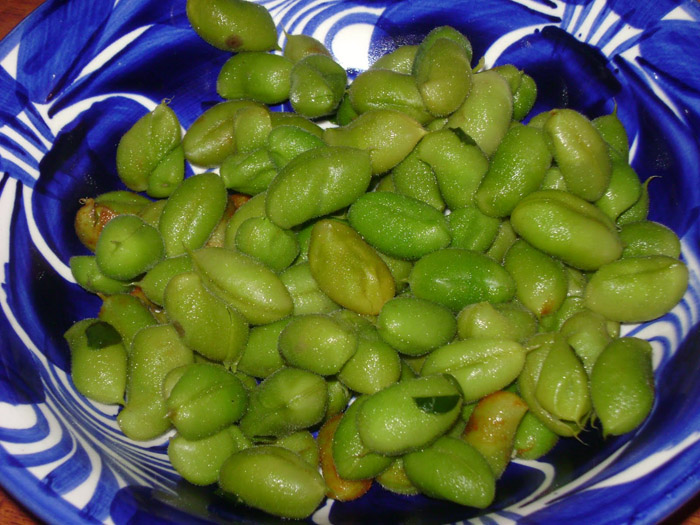 guasanas