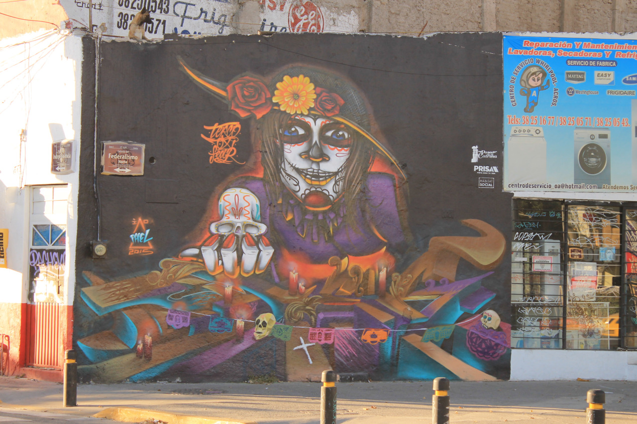 graffiti-federalismo-guadalajara