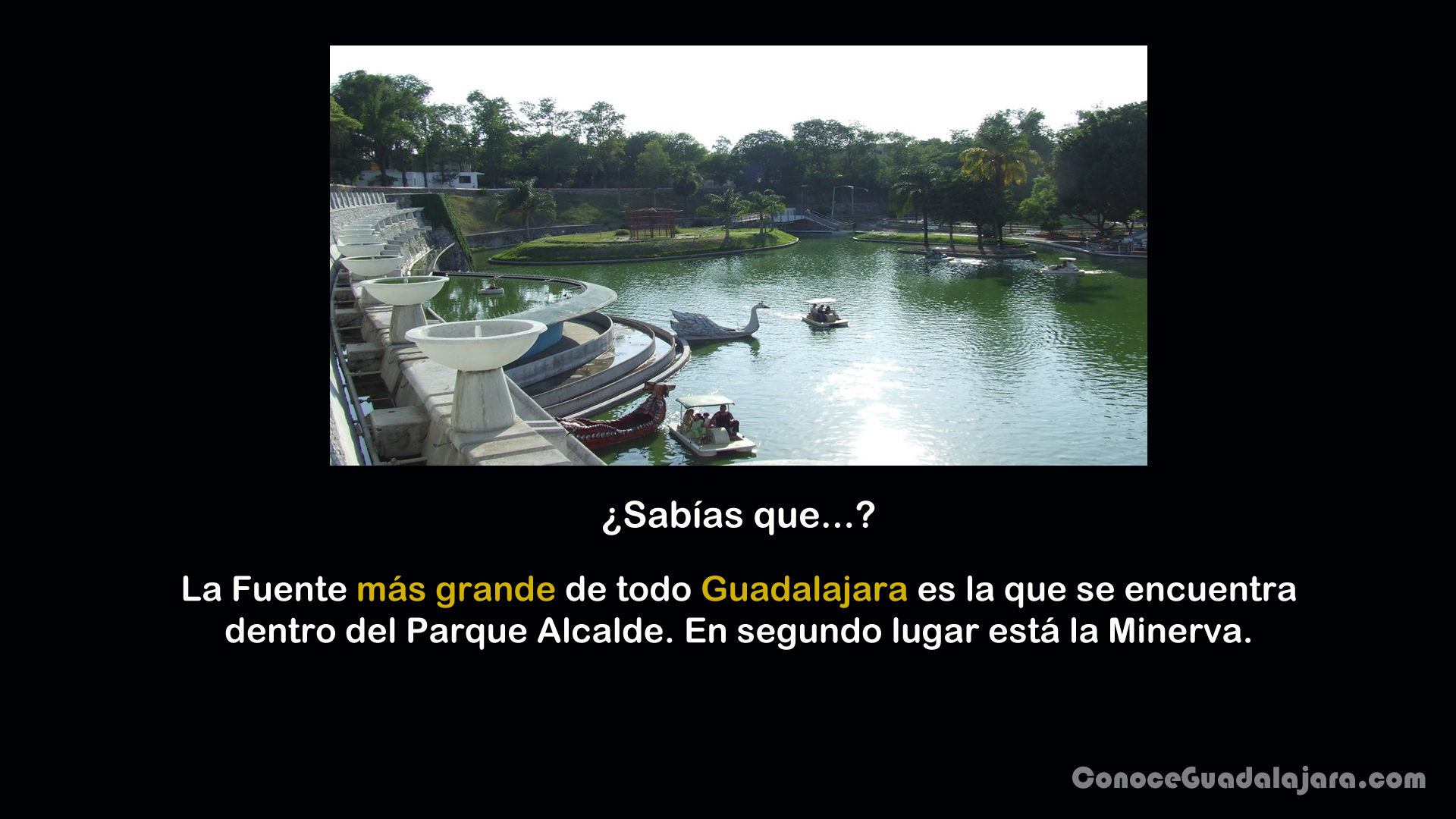 ¿Sabías que…?